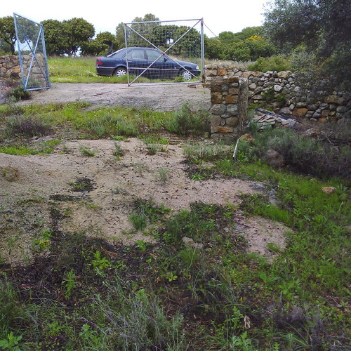 Land 18 acres with olive and mastic trees in Chios, buildable