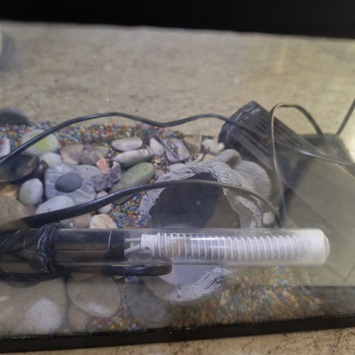 Fish aquarium, 41x20x26 cm