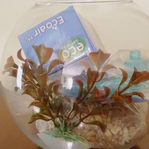 Fish bowl with Aquapor equipment new 5 liters