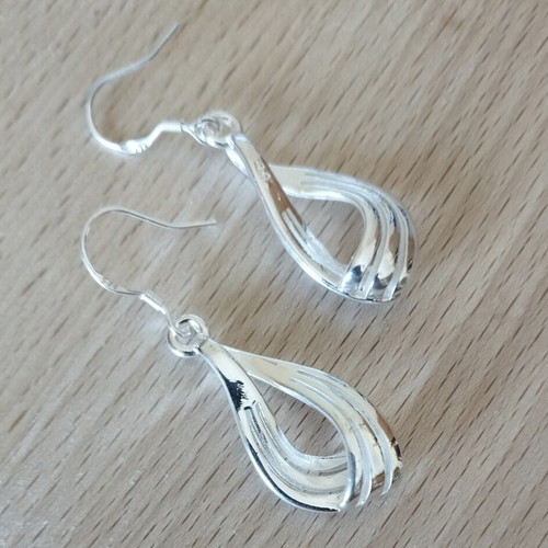 Elegance silver earrings