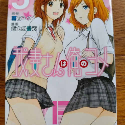 Manga My wife is Wagatsuma-san volume 5 used, Japanese edition