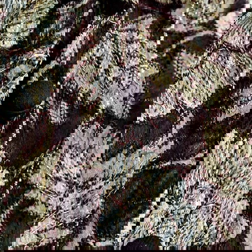 ZARA - Γυναικεία πουκαμίσα XS