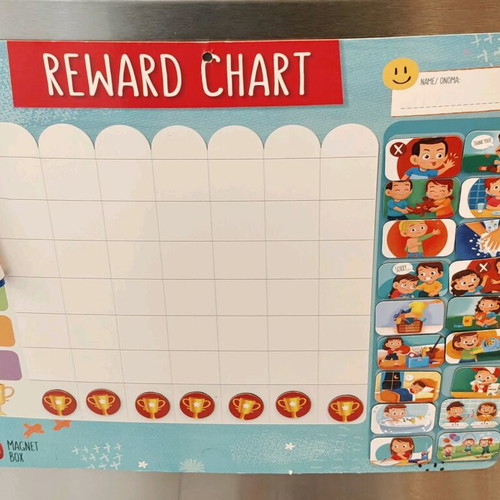 Magnetic reward chart used with 57-piece educational set