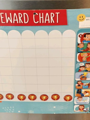 Magnetic reward chart used with 57-piece educational set