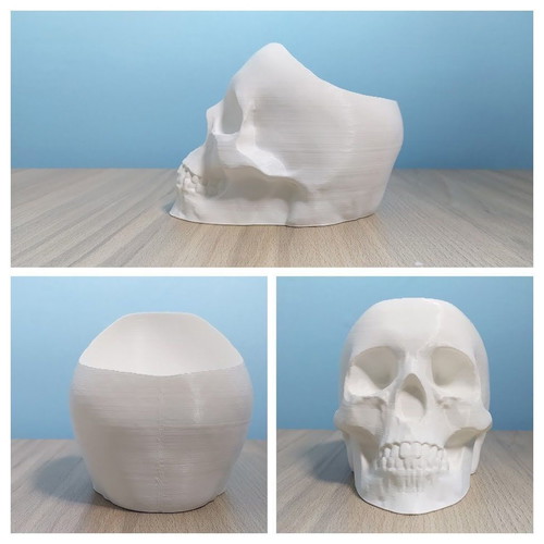 Decorative skull planter new 3D printed for small plants