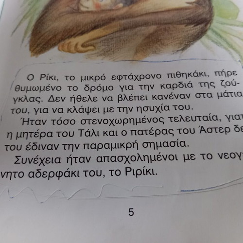 Riki the Monkey used children's book