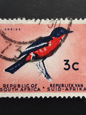 Νότια Αφρική 1951 γραμματόσημο Singing bird μεταχειρισμένο