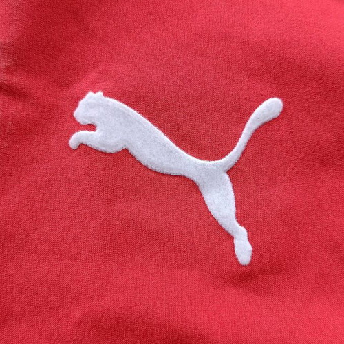 Switzerland national team Puma jersey 2004 size S used