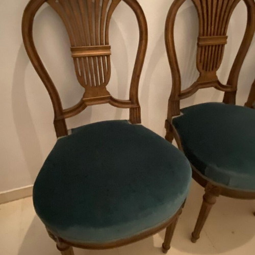 Classic wooden Louis XVI chairs set of 6, like new with velvet seat