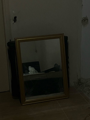 Огледало употребявано