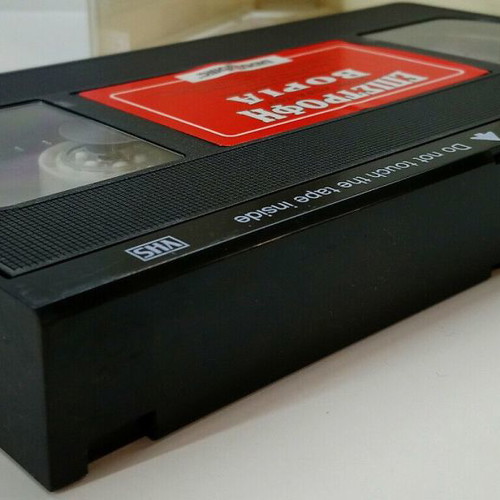 VHS The Return of the North Wind used, dubbed