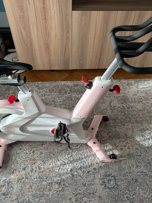 VIKING Spin Bike S-100F like new spinning exercise bike