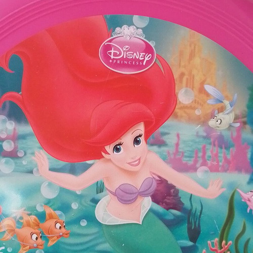 Plastic Disney Princess frisbee disc like new