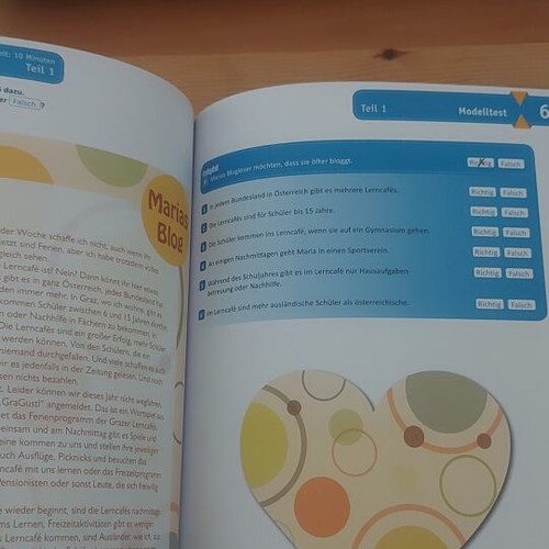 Lesetraining B1 book new, German language