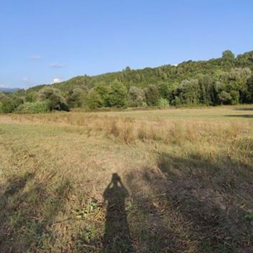 Plot of land 20 stremmata in Arcadia, Tropaia Livadaki area