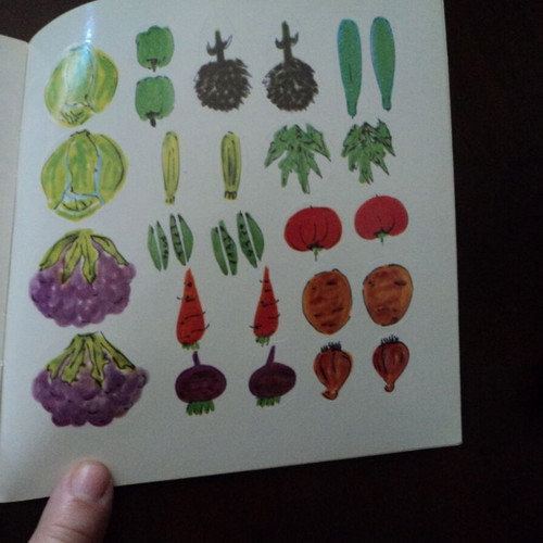Evgenia Fakinou Lachanika used, 1986 edition with stickers 44 pages