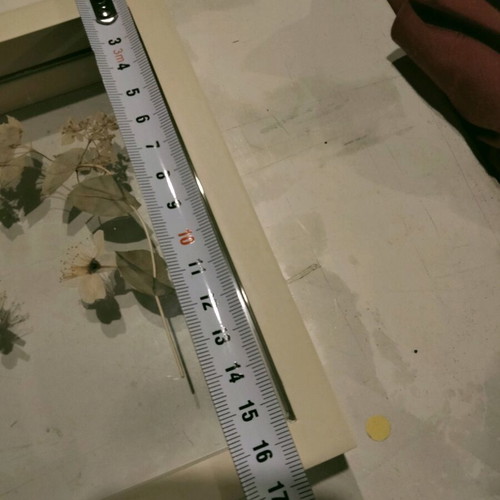 Transparent frame with dried flower composition like new