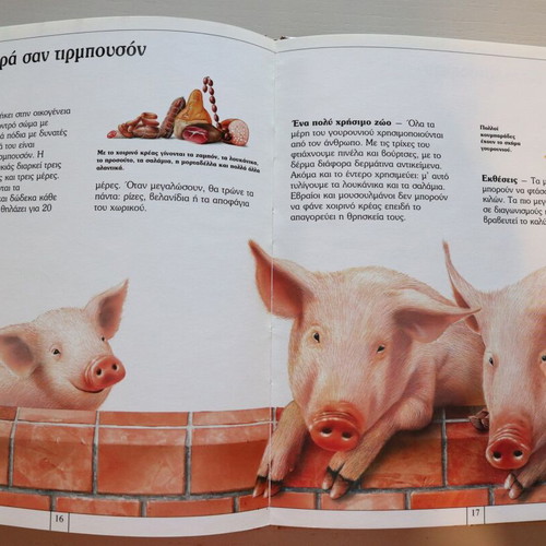 Children's Encyclopedia Animals of the Village and the City used
