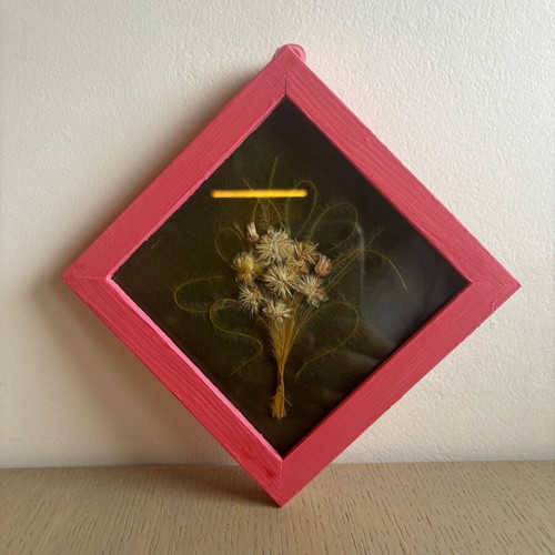 Herbarium used, framed picture with glass