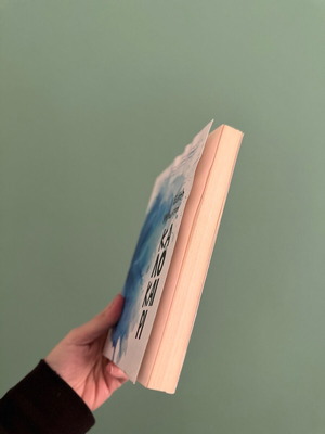 Summer Edith Wharton used book