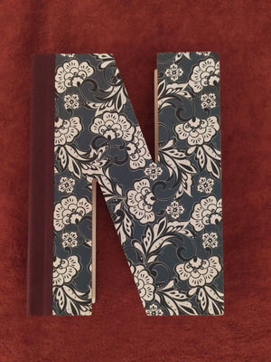 IF Alphabooks Notebook New, Letter N Shape, 120 Blank Pages