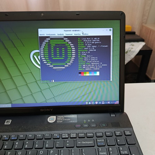 Sony Vaio VPC EL3S1E laptop with AMD E450, 8GB RAM, 120GB SSD, Linux