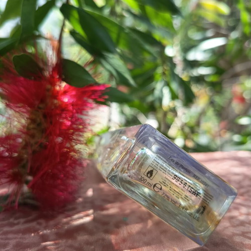 Salvatore Ferragamo pour Femme Eau de Parfum 100ml used vintage 2009