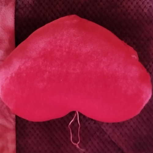 Plush heart used