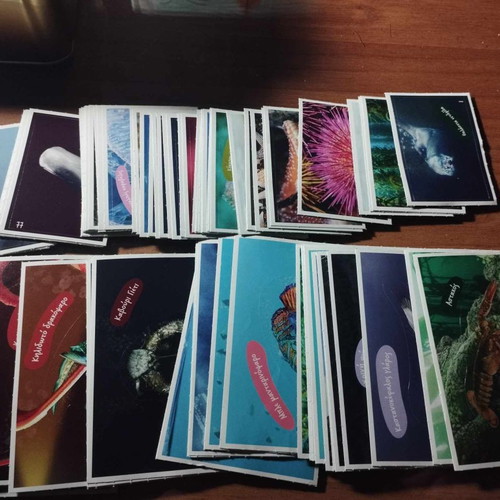 Exploring the Ocean AB Vasilopoulos complete set with 102 stickers new