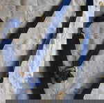  "Πόλεμος" για πάνες από πριν από 50 χρόνια