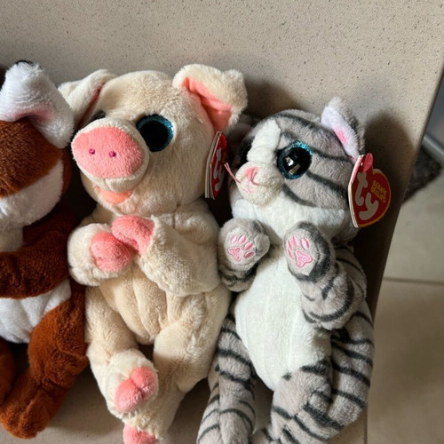 Set of 5 used Ty dolls