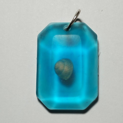 Handmade pendant with resin, shell, and blue pigment new