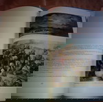 Εικαστικές μαρτυρίες. Ζωγραφική-Χαρακτική στον Πόλεμο, στην Κατοχή και στην Αντίσταση