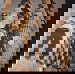 Kreator Poster μεταχειρισμένο