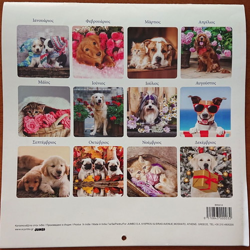 Annual wall calendar 2021 like new with puppies and kittens