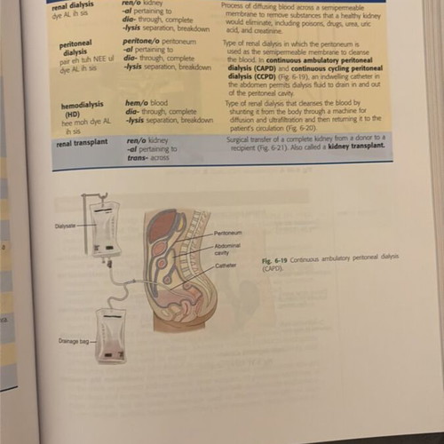 Specialized English Terminology in Health Sciences book new
