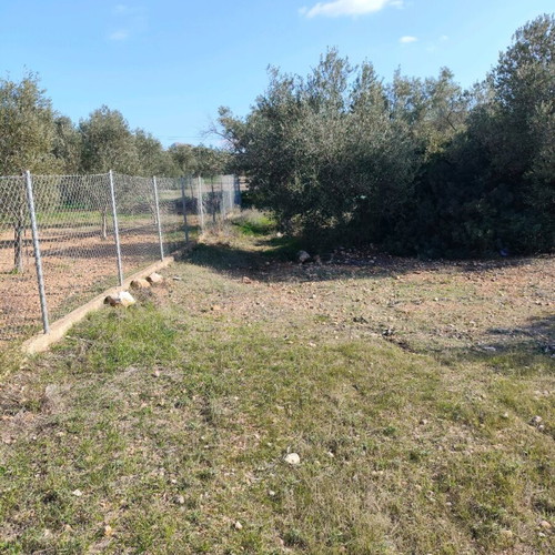 Land plot 9 acres in Vasilika Salamina, buildable, residential area