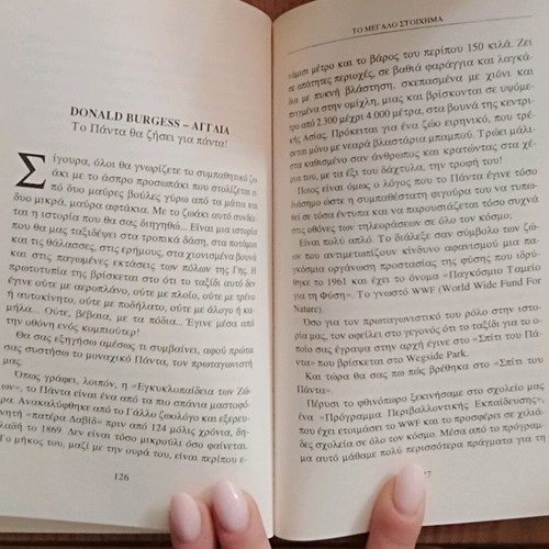 To Megalo Stoichima teen novel like new
