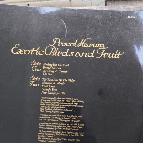 Exotic Birds and Fruit used vinyl 1974 Greek rock