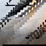  Όργανο γυμναστικής