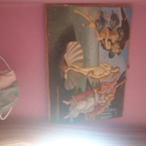 Botticelli oil painting The Birth of Venus