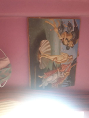 Botticelli oil painting The Birth of Venus