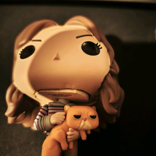 Harry Potter Funko Pop Hermione Granger used