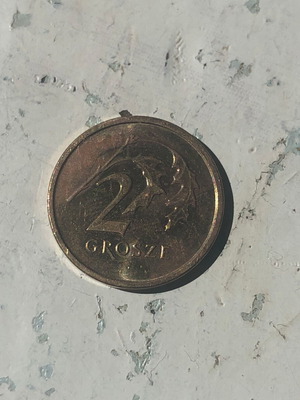 Poland 2 Grosze 2019 coin used