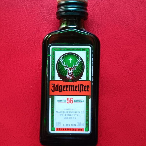 Jagermeister collectible glass miniature bottle like new