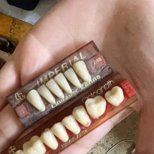Bayer Dental Teeth Cards new from dental lab