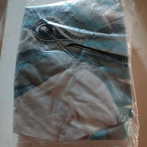 Inflatable dolphin new