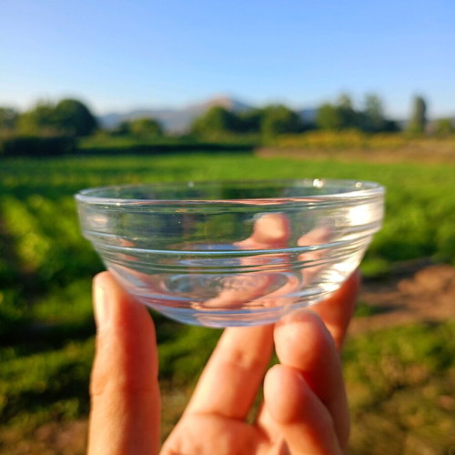 Glass bowls small set of 8 from France like new