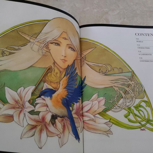 Record of Lodoss War Deedlit in Wonder Labyrinth Nintendo Switch game like new with artbook and OST CD