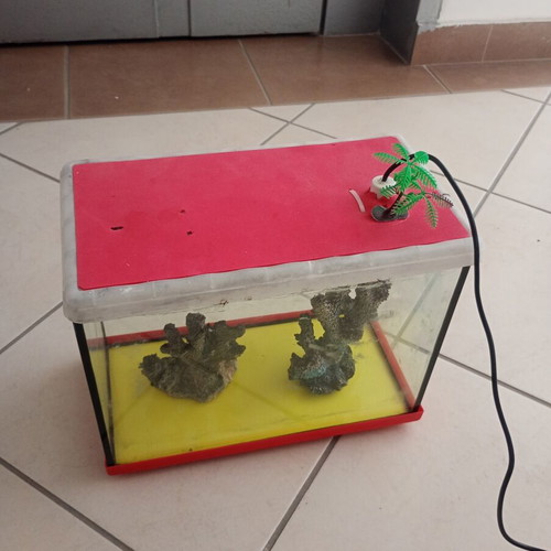 Glass aquarium with decorative corals and lighting, used